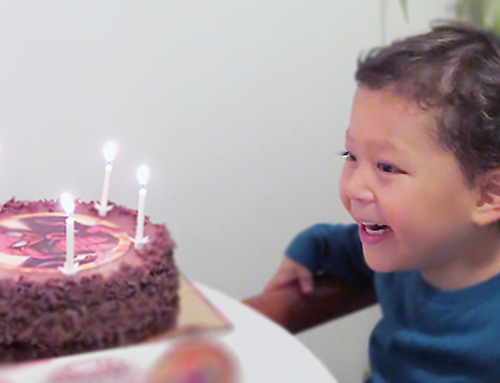 2016 Cinquième année