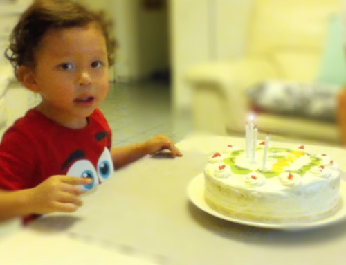 2015 Quatrième année