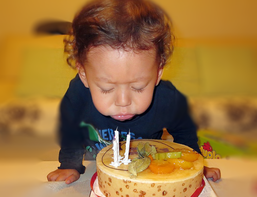 2014 Troisième année