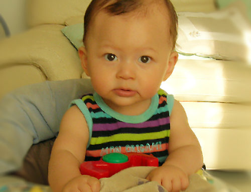 2012 Première année