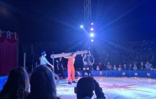 10825805-2de3-404f-9ce2-0d8758877fad