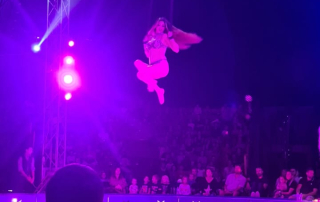 14355a9e-eb2a-4151-b2a2-4475bb9de192