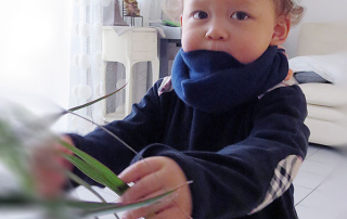 25.Vingt-cinquième mois12