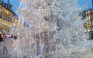 26.Vingt-sixième mois41