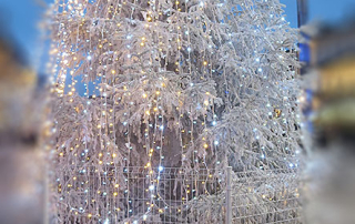 26.Vingt-sixième mois42