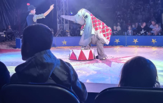 4c97a895-669d-4218-9189-c8f4cf4c568a