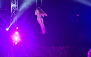 55c03c21-1651-4210-b317-7e06359d964d