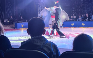 8db475e6-19ed-4273-8163-83b3235b2cb4