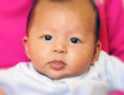 2011 Zéro-Première année