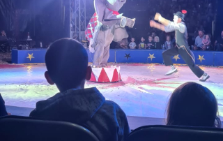 cc32889b-d5cd-4767-bea9-efb9ffda6317